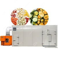 Commerciële professionele installatie voor de verwerking van gedroogd fruit en groenten, voedsel- en groentendroogmachine