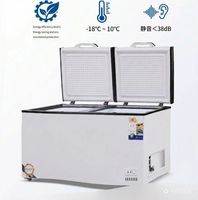Réfrigérateur horizontal grande capacité à congélation rapide, congélateur à double porte