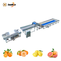 PLC Intelligente Besturing Oranje Reinigings- en Sorteermachine Fruit- en Groentewasserlijn voor vers fruit en groenten