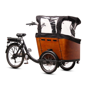 Triciclo Eléctrico Popular con Frenos de Disco Traseros en V, 7 Velocidades, Batería de Litio de 36V 13Ah, Modelo E TR02 Hiten, Cuadro de Acero Soldado - Product Image 5