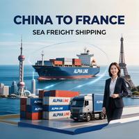FCL LCL Versand China nach Frankreich Seefracht-Spedition EXW FOB DDP DAP DDU Versandagent per Seefracht Tür-zu-Tür mit Zollabwicklung