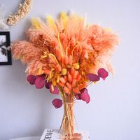 Buket Bunga Kering Gaya Bohemian dengan Rumput Pampas dan Ekor Kelinci Ramah Lingkungan Tahan Lama Dekorasi Rumah untuk Dinding Kamar Tidur