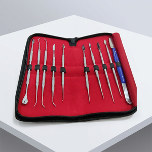 Kit d'outils de sculpture manuels en acier pour laboratoire, céramique, argile, et instruments de sculpture dentaire/chirurgicaux pour dentistes - Product Image 1