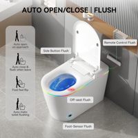 Ensemble WC intelligent, bidet électrique, toilette monobloc en céramique, toilette entièrement automatique intelligente