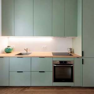 Yaman Green Modern Metal <b>Kitchen</b> <b>Cabinet</b> Customized Minimalist Design with MDF Sink Accessory for Apartment <b>Kitchen</b> Box - Product Image 1