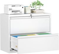 Armoire de classement en acier laminé à froid épaissi à 2 tiroirs verrouillables, armoire à tiroirs en métal robuste pour le rangement de documents de bureau