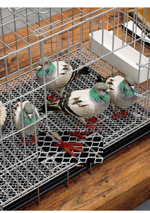กรงเลี้ยงไก่ขนาดใหญ่ที่สะดวกสบายทำความสะอาดง่ายและให้อาหารลวดโลหะพับได้พร้อมถาดกรงสัตว์เลี้ยงขนาดเล็กกรงนกพิราบ - Product Image 3