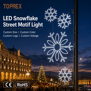 Motivo LED per Pali TOPREX, Design a Fiocco di Neve 2D, Telaio in Alluminio Antiruggine, Certificato CE ROHS SAA, Efficiente dal Punto di Vista Energetico - Product Image 4