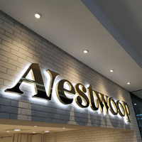 Huruf Akrilik 3D untuk Interior, Papan Nama LED Akrilik 3D untuk Interior, Produsen Logo Komersial, Huruf Bercahaya