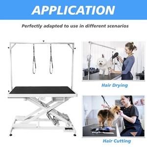 <span class=keywords><strong>Mesa</strong></span> de Peluquería Canina Eléctrica de Alta Calidad, <span class=keywords><strong>Mesa</strong></span> de Peluquería Profesional para <span class=keywords><strong>Perros</strong></span> - Product Image 6