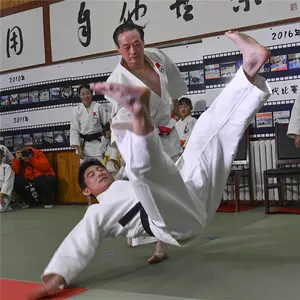 Büyük yüzyıldan eva köpük judo karate mat tatami eva tekvando tata