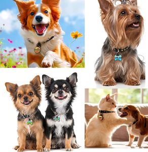 Etiqueta de Identificación para Mascotas de Silicona de Alta Calidad, Etiqueta de Nombre para Perro de Silicona, Etiquetas de Identificación Personalizadas para Mascotas, Forma de Hueso - Product Image 4