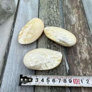 Coquillages naturels, escargots de mer, perles, coquilles Saint-Jacques, conques, coquillages pour peinture à l'huile, boîtes à bijoux, artisanat, vente en gros directe - Product Image 6