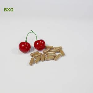 Venta caliente suplemento de hierbas cápsula naturaleza Oem Garcinia cambogia extracto proveedor profesional buena calidad - Product Image 2