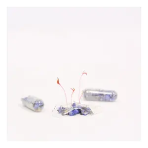 SEEDPILLX1 <b>seed</b> capsule ecological gadgets - Product Image 3