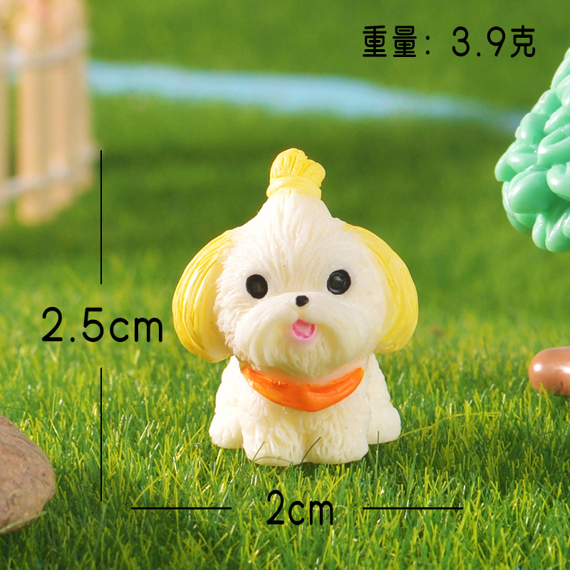 Beige shih tzu