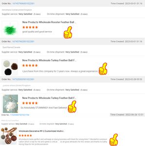 Teint vert naturel plume <span class=keywords><strong>de</strong></span> <span class=keywords><strong>paon</strong></span> <span class=keywords><strong>boule</strong></span> <span class=keywords><strong>de</strong></span> noël pour arbre <span class=keywords><strong>de</strong></span> noël ornement Festival automne décor fête vacances approvisionnement cadeaux artisanat - Product Image 4