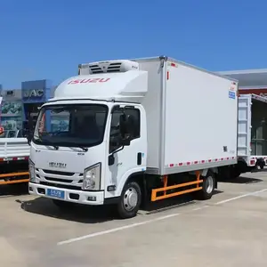 2024 thương hiệu nổi tiếng mới ISUZU hộp nhỏ Xe tải vận chuyển thực phẩm đông lạnh để bán nóng