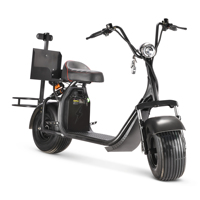 Scooter électrique pour adultes Loyal Australia Market, modèle X7 Golf, pliable, étanche, GPS, batterie au lithium, 2 roues, double