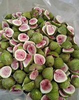 Vriesdroogapparatuur van roestvrij staal voor fruit, voor de verwerking van voedsel in een vriesdrooglijn
