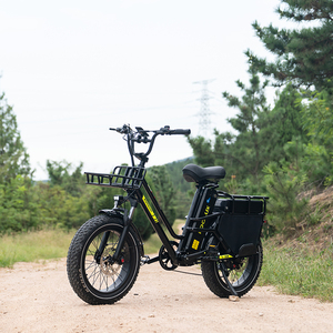 Vélo électrique KOOLUX X8 20" 48V 65Ah à double moteur, batterie lithium, pneus larges, VTT électrique tout-terrain - Product Image 4