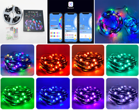 Haute qualité DC5V 12V 24V couleur unique couleur LED Pixel Module Mini point guirlande lumineuse pour une utilisation en extérieur 30 50 40mm