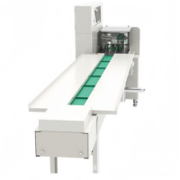 Machine d'emballage horizontale automatique de type oreiller pour le pain, les biscuits, le savon, les produits de quincaillerie et les articles du quotidien