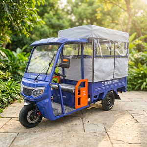 Leisure Passenger-carrying <b>Gasoline</b> Tricycle Motorcycle, High-speed Tuk-tuk with Canopy - Product Image 2