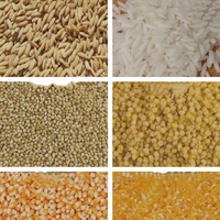 Échantillon gratuit vente automatique 1 tonne par heure mini moulin à riz et broyeur de poudre ensemble combiné décortiqueuse en Corée avec moteur