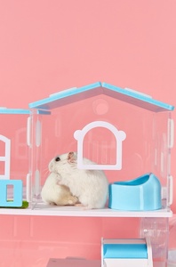 USMILEPET Best Seller jaula acrílica para hámster Villa Casa de mascotas de doble capa súper grande para alimentar hámsteres y conejillos de indias - Product Image 6