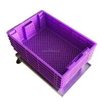Caisse de stockage de tomates empilable de 50 kg en maille HDPE vierge recyclable