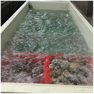 Shanghai Project Supermarkt Intensieve Live Kreeft Boerderij Tank Ras Systeem - Product Image 5