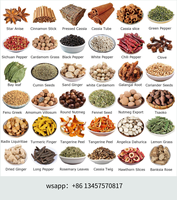 Grossistes Meilleur Prix Graines de piment de Chine Graines de piment hybride Graines de piment rouge chaud