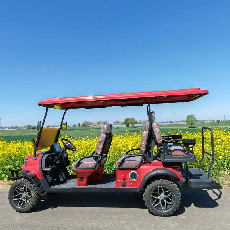 Customizable High Quality Electric Golf Carts
