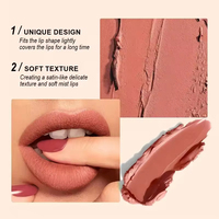 Gloss à lèvres liquide naturel végétalien à label privé, lisse, doux, hautement pigmenté, imperméable, mat, pour femmes, maquillage quotidien des lèvres