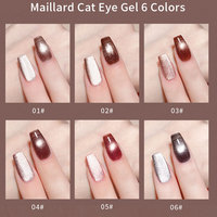 6 couleurs 10ml Maillard Highlight Cat Eyes Gel magnétique vernis à ongles 9d Silk Cateye Gel Aurora Shell Thread Cateye Gel
