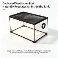 Terrarium en verre pour reptiles, vivarium, boîte d'élevage, verre ultra-transparent, écologique, durable, pour crabe ermite, gecko, lézard, serpent