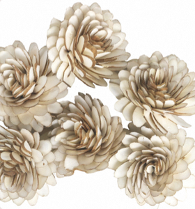 Flor Artificial de Madera Sola Hecha a Mano, Pétalos Secos, Flor Blanca para Decoración de Bodas y Difusores de Aroma - Product Image 2