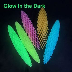 Fidget Worm 2024, Juguete Sensorial de Plástico Ecológico al por Mayor para Niños, Niñas, Adultos y Niños Pequeños - Product Image 3