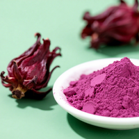 Bubuk ekstrak Roselle alam murni bubuk ekstrak bunga Hibiscus bubuk ekstrak Sorrel Jamaika bubuk merah ungu bubuk Roselle