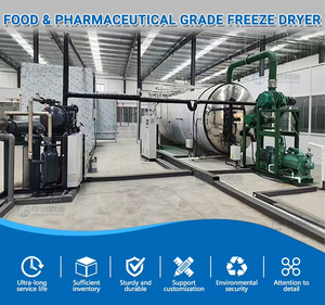 Máquina de liofilización al vacío de acero inoxidable <span class=keywords><strong>para</strong></span> procesamiento de alimentos FDG-10 con bomba, motor, engranaje y PLC, utilizada <span class=keywords><strong>para</strong></span> liofilizar fresas. - Product Image 5