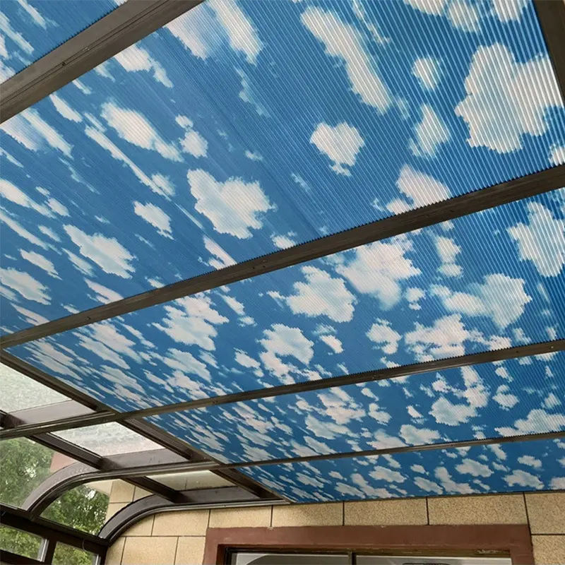 Горизонтальные шторы на крыше, ручные/моторизованные декоративные затемняемые водонепроницаемые шторы, шторы, рулонные шторы, люки