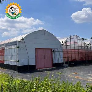 Bahçe Arısı Yüksek Performanslı Işık Geçirmez Sera Böcek Ağı Yaşlanma Karşıtı Havalandırmalı Böcek Önleyici File - Product Image 4