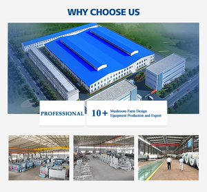 Tất cả-trong-một nấm phát triển túi với tiêm cổng và bộ lọc vá Polypropylene nấm fruiting Túi - Product Image 5