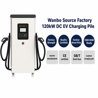 Station de recharge rapide DC double pistolet Wanbo-569 GB/T 120 kW CE OCPP 1.6 pour usage public – Direct Usine