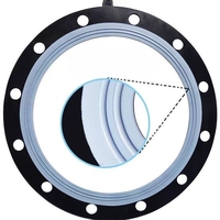 Sanking joints d'étanchéité EPDM collés PTFE de haute qualité joint de bride haute température résistant à la Corrosion pour raccord de tuyau haute UPVC