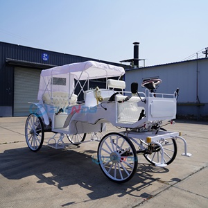 Simple White Electric Sightseeing Carriage/customized Electric Sightseeing Carriage Sells Well - Product Image 5