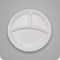 Assiettes de fête en bagasse de canne à sucre, 10 pouces, biodégradables, rondes, à 3 compartiments, jetables, pour plats à emporter et barbecue