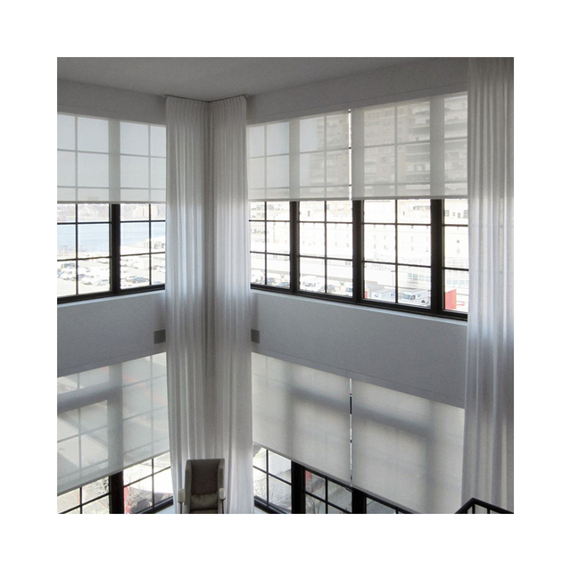Professional Factory Electric Remote Control Double Layer Roller Blinds Motorized Roller Shades for Window