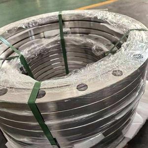 Hittebestendige DN80 DN100 DN150 DN600 lasnekflenzen van roestvast staal 316L, CNC-gefreesd, RF RTJ oppervlak - Product Image 3